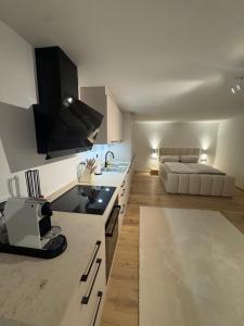 a kitchen with a sink and a bed in a room at Casa Souterrain in Immenstaad am Bodensee