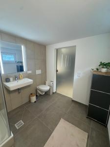 a bathroom with a toilet and a sink at Casa Souterrain in Immenstaad am Bodensee