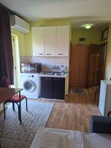 a kitchen with a sink and a washing machine at Apartmani Lazić No 5 in Gracanica