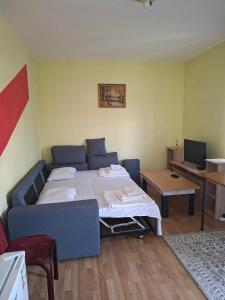 a living room with a bed and a table at Apartmani Lazić No 5 in Gracanica