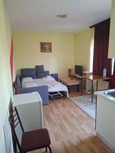 a living room with a couch and a table at Apartmani Lazić No 5 in Gracanica