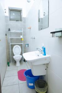 a bathroom with a sink and a toilet at MtaaLiving-Bamburi in Mombasa