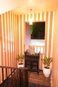 a balcony with two potted plants and a stove at Garrison at Dera Bagseu in Bikaner