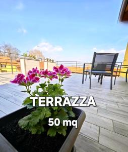 a balcony with purple flowers in a pot at Il Borgo in Lurago D'Erba 