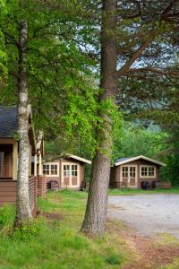 a couple of houses with trees in front of them at Birkelund camping in Geilo