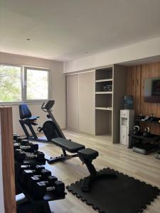 a gym with treadmills and exercise equipment in a room at ili ili Hotel Boutique in Mar del Plata