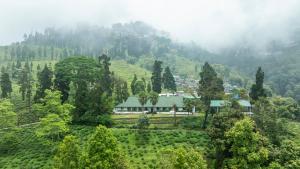 a house in the middle of a mountain with trees at Singell Tea Estate - A CGH Earth Experience in Darjeeling +123 photos