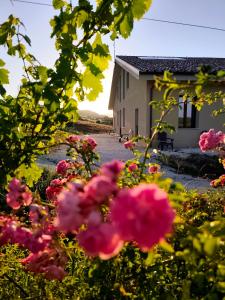 a house with pink flowers in front of it at La Vigna 1803 in Casa Gagliano
