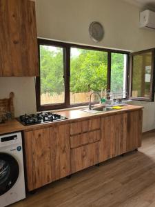 a kitchen with a sink and a stove and windows at MAG house in Shekhvetili