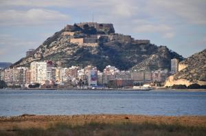 Príroda v okolí apartmánu