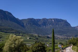 a view of a valley with mountains in the background at Gass-Hof in Caldaro +2 photos