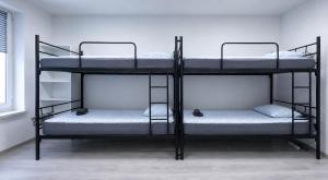 two bunk beds in a room with a window at Przystanek Wałbrzych in Wałbrzych