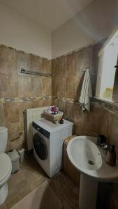 a bathroom with a washing machine and a sink at Konitsa Valley in Konitsa +25 photos