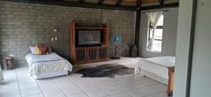 a bedroom with a tv and a tiled wall at Daisy Lodge in Barberton