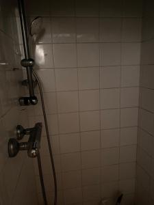 a shower with a shower head in a bathroom at Cœur de Troyes studio in Troyes +8 photos