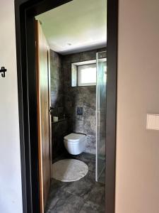 a bathroom with a toilet and a glass door at Laitselossi tee Apartment in Laitse +2 photos
