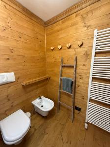 a bathroom with a toilet and a sink and a ladder at Appartamento Val Di Roda in San Martino di Castrozza +13 photos