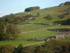 an old stone building on a green hill at Aysgill Cottage in Hawes