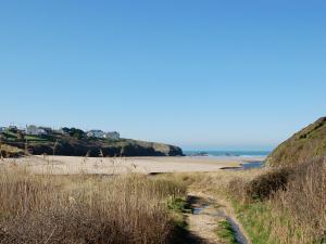 a path leading to a beach with the ocean in the background at Treyarnon in Saint Merryn +10 photos
