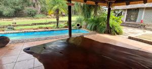 a wooden bear statue sitting next to a swimming pool at Daisy Lodge in Barberton