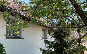 a white house with two windows and a tree at Apartma BONUS in Begunje na Gorenjskem