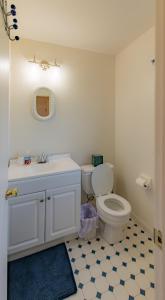 a bathroom with a toilet and a sink and a mirror at Lovely Lakeside Lodge in Canandaigua +14 photos