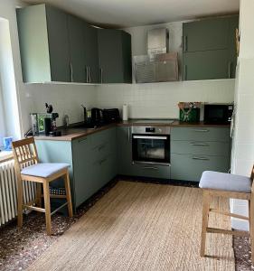 a kitchen with green cabinets and a table and chairs at Ferienhaus im Grünen in Weimar +5 photos