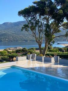 a swimming pool with a view of the water at Résidence Figarella in Propriano