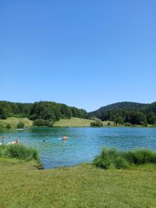 a group of people swimming in a lake at Confort appart in Oyonnax