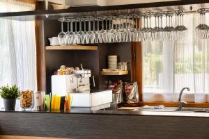 a kitchen with a counter top with a coffee maker at Hotel Radis in Forni di Sotto +25 photos