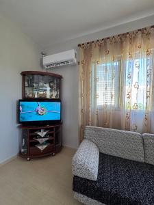 a living room with a couch and a tv at Garden House - Hamallaj in Hamallë