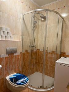 a bathroom with a shower with a toilet at Apartmani Petra i Igor in Makarska +60 photos