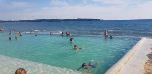 a group of people swimming in the water at Apartment with parking in Dajla