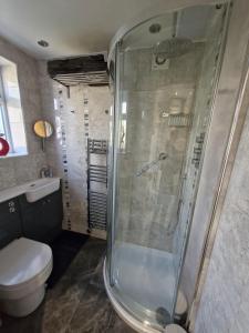 a bathroom with a shower and a toilet at Art House in Portsmouth +4 photos