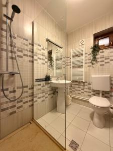 a bathroom with a toilet and a sink and a shower at Vila Class in Eforie Nord +48 photos