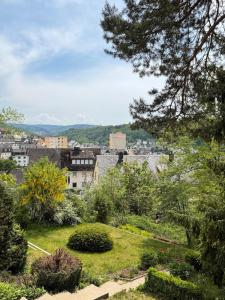 a view of a city from a garden at Schöne Aussicht in Idar-Oberstein