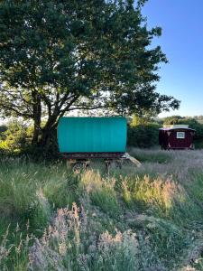 a green box sitting in a field under a tree at Vardo gypsy wagon in Berwick Saint John