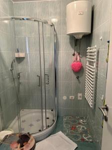a shower with a glass door in a bathroom at Lavanderin Apartment in Dekani +41 photos