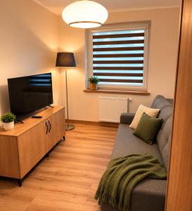 a living room with a couch and a flat screen tv at Sportova Elegance Apartment in Płock