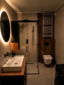 a bathroom with a sink and a shower and a toilet at Sportova Elegance Apartment in Płock +9 photos