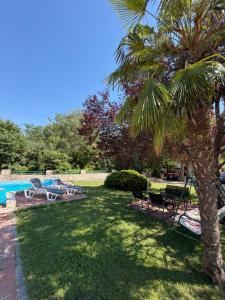 a palm tree sitting next to a swimming pool at AS Holiday Home in Ljubuški