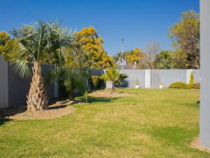 a palm tree in a yard next to a fence at 5@Partridge Guesthouse in Newcastle