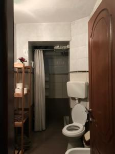 a bathroom with a toilet and a shower at Mollys apartment 1 in Pogradec +7 photos
