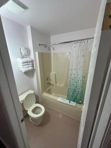 a white bathroom with a toilet and a shower at Centennial Motel in Sauble Beach +10 photos