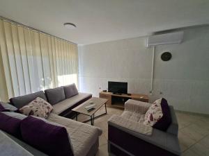 a living room with a couch and a tv at Apartman Leka in Donji Bogdašići