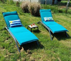 two blue chairs sitting in the grass next to a table at Nids des cigognes in Furchhausen