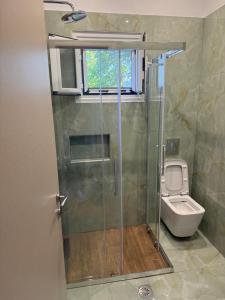 a bathroom with a shower and a toilet at Seaside Garden House 7 in Dassia