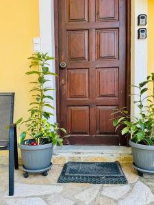 a brown door with two potted plants in front of it at Seaside Garden House 7 in Dassia