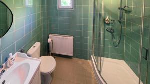 a bathroom with a shower and a toilet and a sink at Agroturystyka w Folwarku Uradz in Tarmno +27 photos