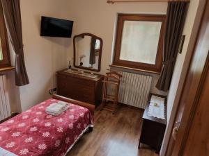 a bedroom with a bed and a mirror and a dresser at Winter and Summer Cortina in Cortina dʼAmpezzo +9 photos
